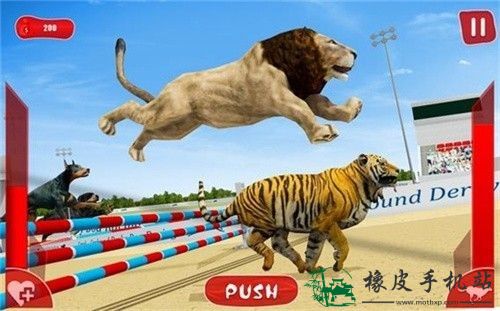 狮子赛跑3D